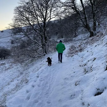 Simon's Seat View