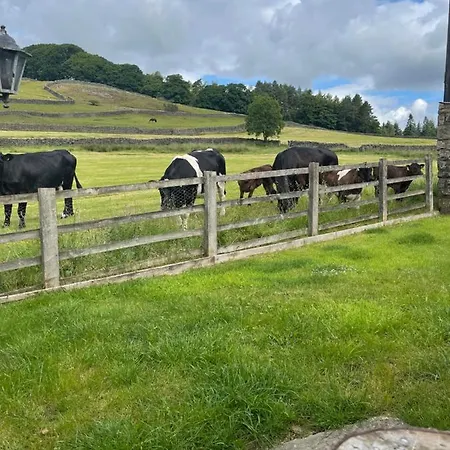 Апартаменты Simon's Seat View *