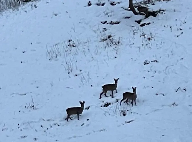 Simon's Seat View Appartement Skipton