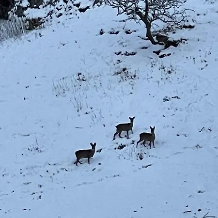 Simon's Seat View Apartment Skipton