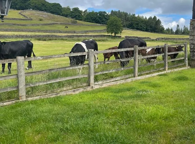 Apartment Simon's Seat View *